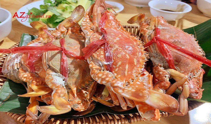 Làng chài Cái Bèo Vịnh Lan Hạ