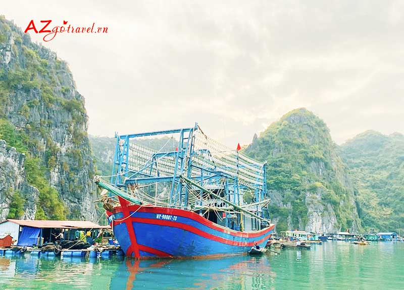 Làng chài Cái Bèo Vịnh Lan Hạ