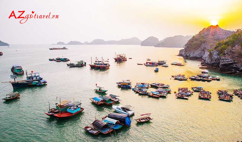 Làng chài Cái Bèo Vịnh Lan Hạ