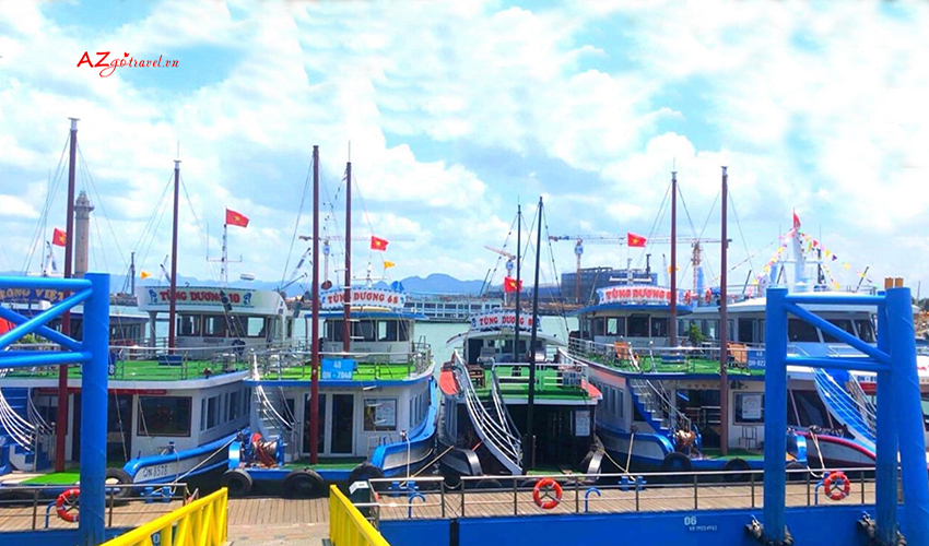 Tàu Tùng Dương 48 khách