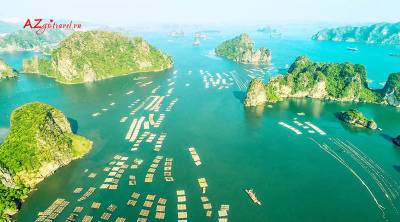 Lưu ý khi đi trải nghiệm máy bay Trực thăng ngắm cảnh Vịnh Hạ Long