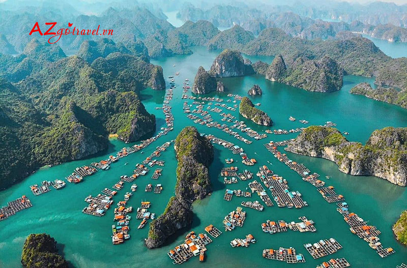 Tour thăm vịnh Hạ Long một ngày từ Hà Nội, tàu VIP