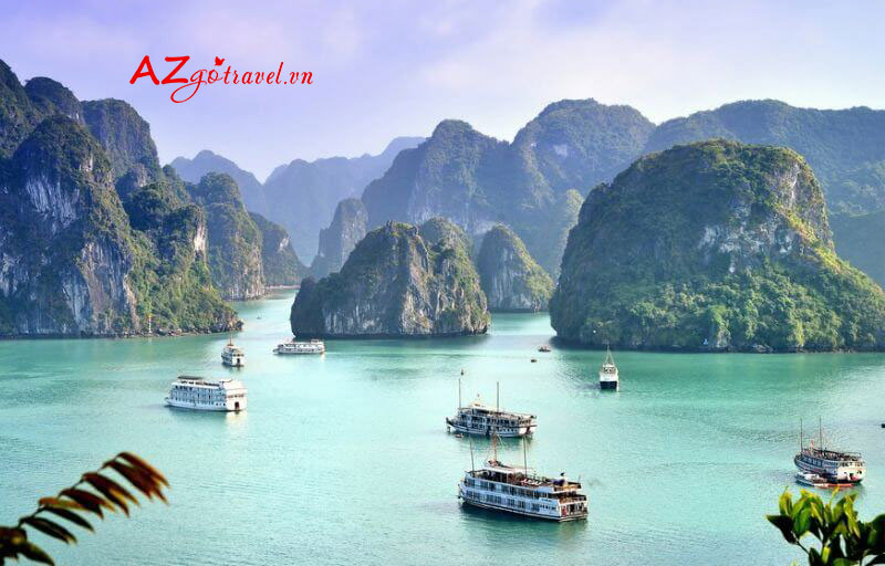 Tour thăm vịnh Hạ Long chất lượng, tiết kiệm chi phí nhất