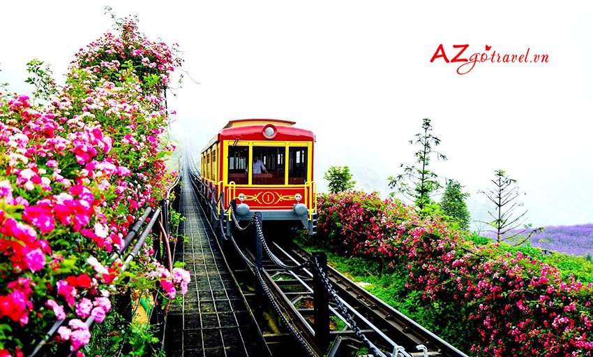 SUN WORLD FANSIPAN LEGEND